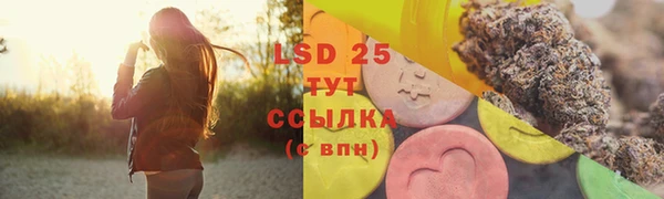 трава Осинники