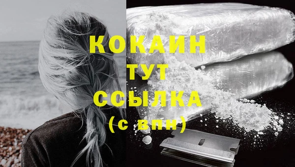 крисы Осташков
