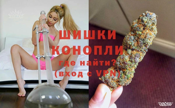 трава Осинники