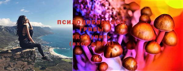 трава Осинники
