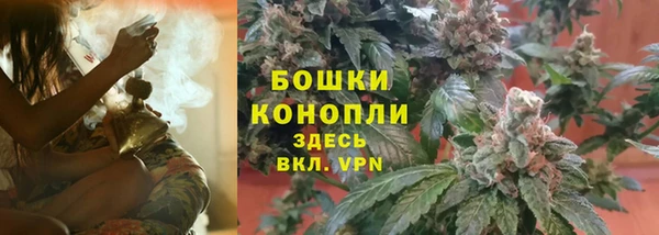 крисы Осташков