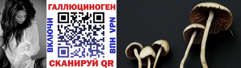 Псилоцибиновые грибы прущие грибы  закладки  Чебаркуль 
