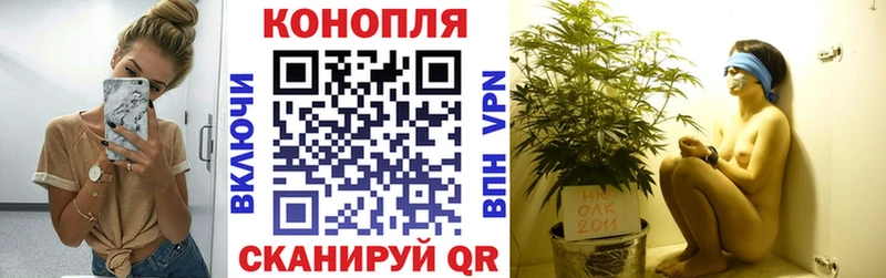 мега ССЫЛКА  маркетплейс Telegram  Чебаркуль  Бошки марихуана Amnesia  где купить  